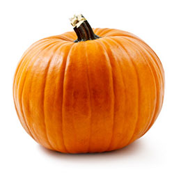 BUNDEVA ZA ZIMSKE DANE