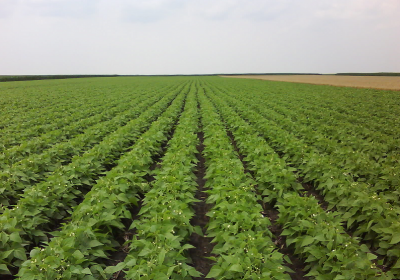 OBAVIJEST ZA PREZENTACIJU PROJEKTA „VIŠENAMJENSKO VREDNOVANJE POLJOPRIVREDNOG ZEMLJIŠTA NA PODRUČJU OPĆINE POSUŠJE“