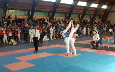 DVA ZLATA, SREBRO I ŠEST BRONCI ZA POSKOKE U LIVNU – NASTUP TAEKWONDO REPREZENTACIJE BIH U ZAGREBU