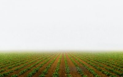 EU4AGRI: Javni poziv potencijalnim korisnicima bespovratnih sredstava za podršku investicijama u primarnu poljoprivrednu proizvodnju u BiH