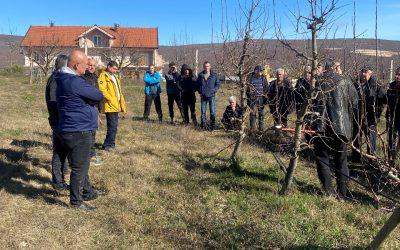 Održane radionice rezidbe krošnjastog i grmolikog voća